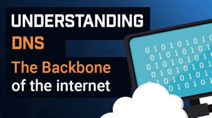 www.com: Understanding the Backbone of the Internet Domain System
