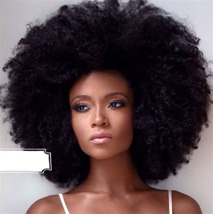 Yaya DaCosta Hairstyles: A Comprehensive Guide to Her Stunning Hair Looks