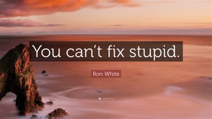 You Can't Fix Stupid Quote: A Comprehensive Exploration of Its Meaning, Origins, and Applications