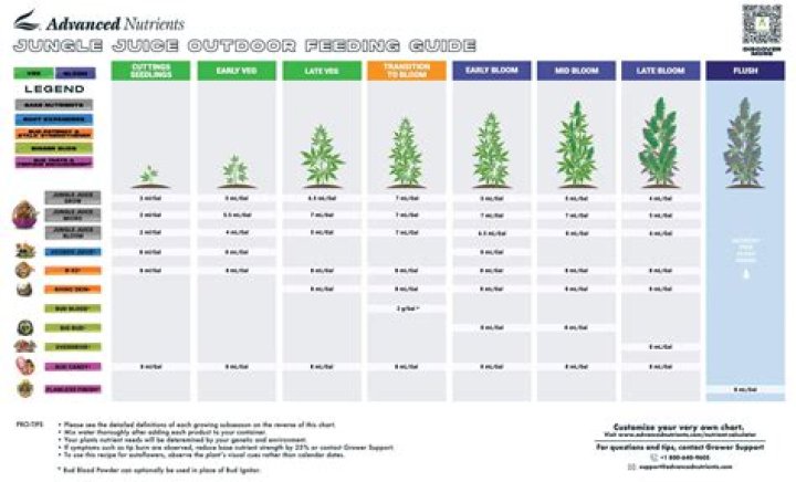 Your Guide to Cannabis News in Pennsylvania